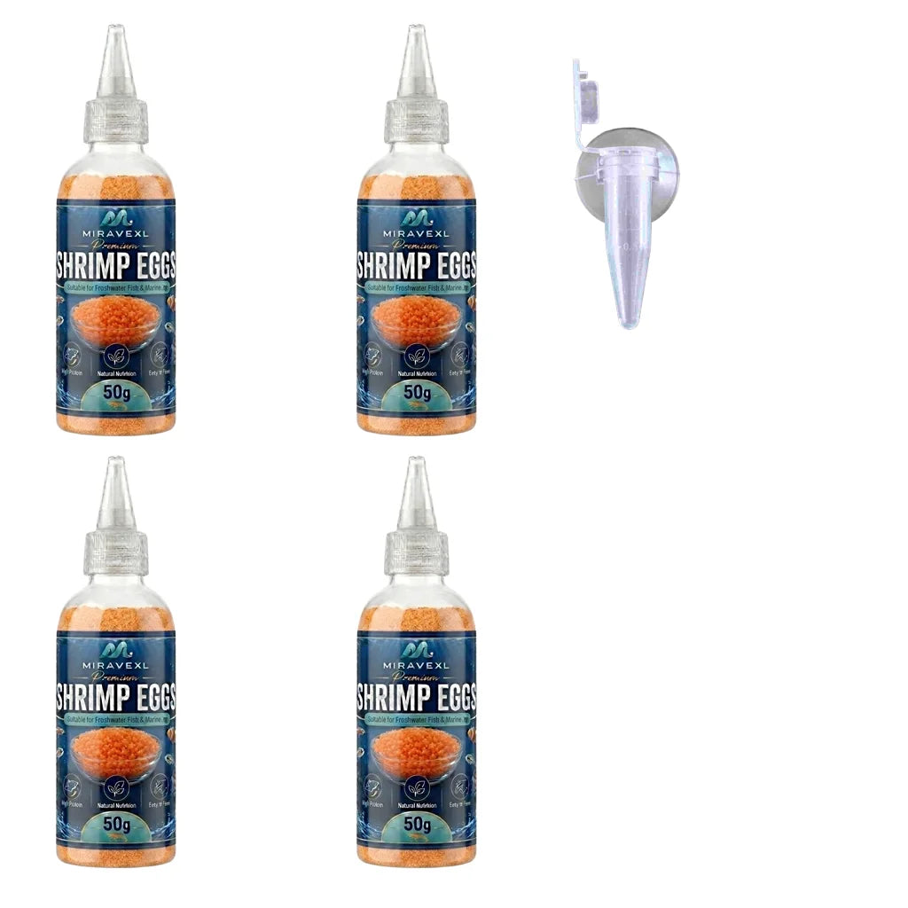 Decapsulated Brine Shrimp Eggs & Fish Fry Feeder Kit | 50g