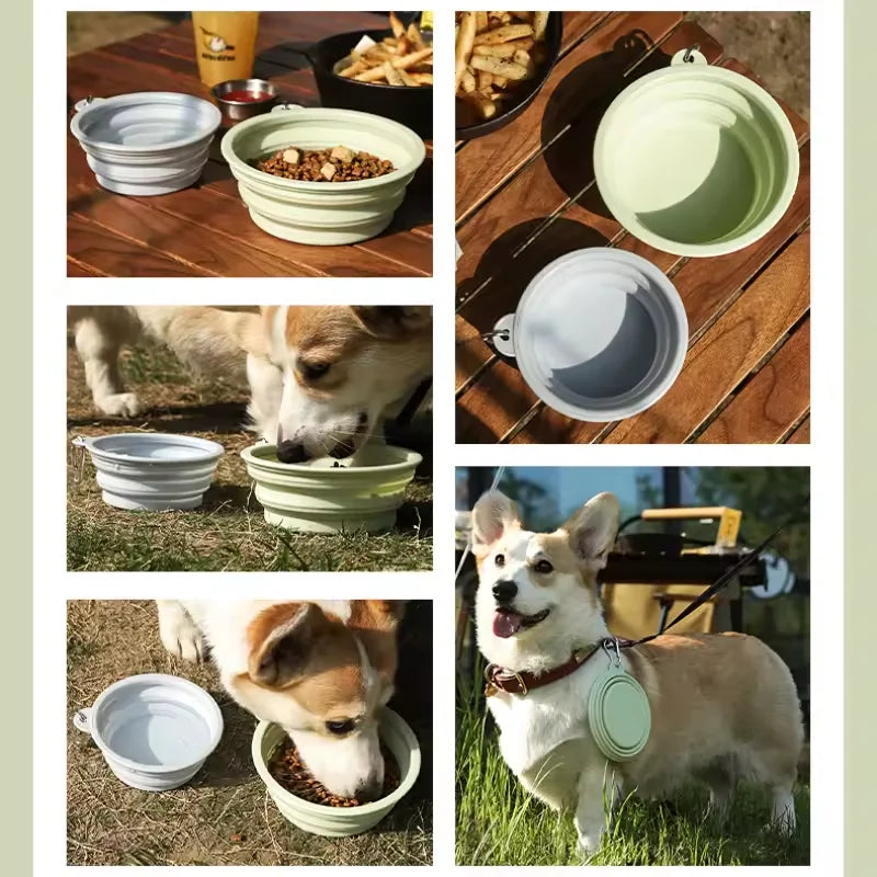 Foldable Silicone Pet Bowl – Portable Travel Dog & Cat Feeder