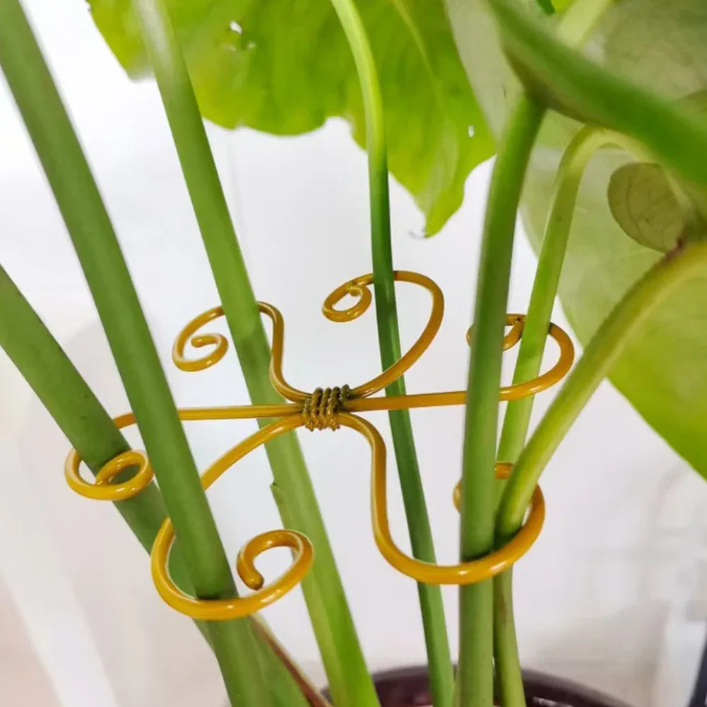 5Pcs Plant Stem Support & Stabilizer for Indoor Plants Peaceful Pleasures Health and Wellness