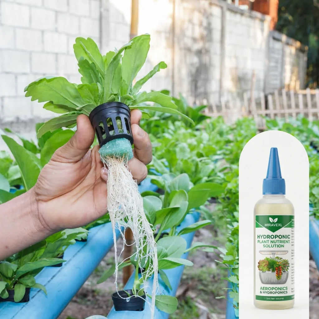 MIRAVEXL 115ml Hydroponic Liquid Plant Food Nutrients All-Purpose Slow Release Fertilizer For Indoor Flowers Garden Accessories Peaceful Pleasures Health and Wellness