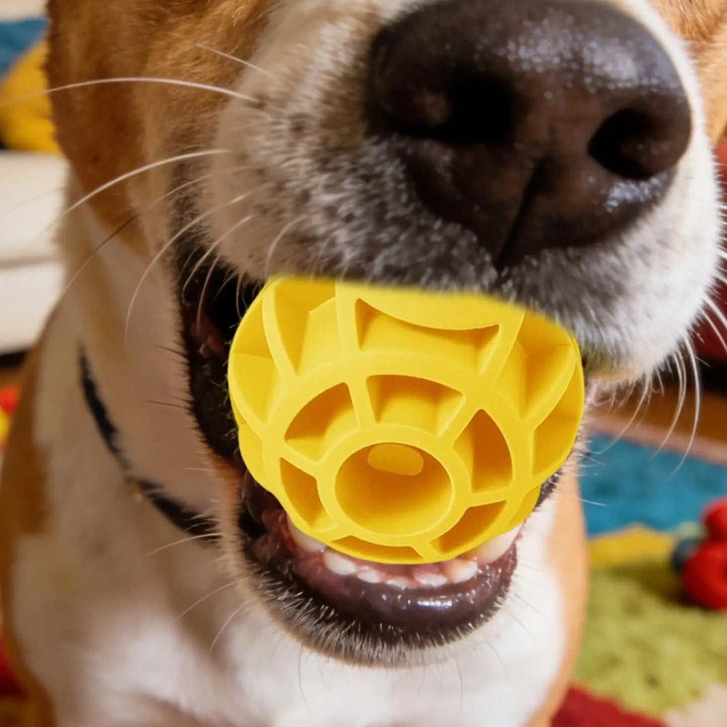 Squeaky Dog Ball – Durable Rubber Chew Toy for Puppies