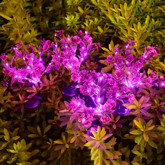 Solar Butterfly Orchid Garden Lamp – IP65 Waterproof Outdoor Solar Garden Lamp Oasis Select