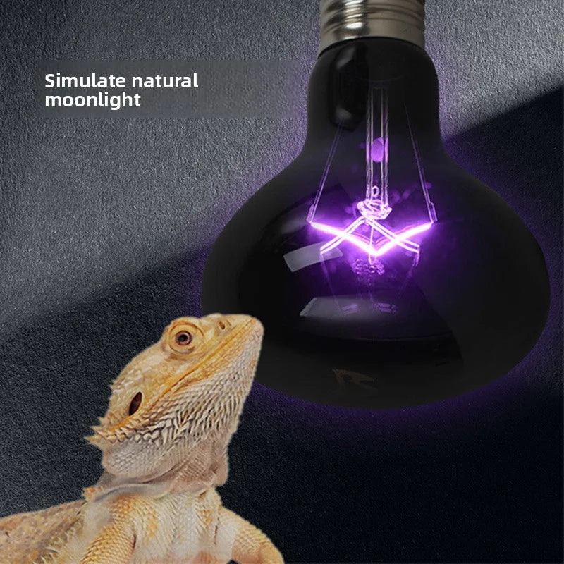 Reptile Moonlight Night Lamp | Chameleon & Lizard Heat Bulb