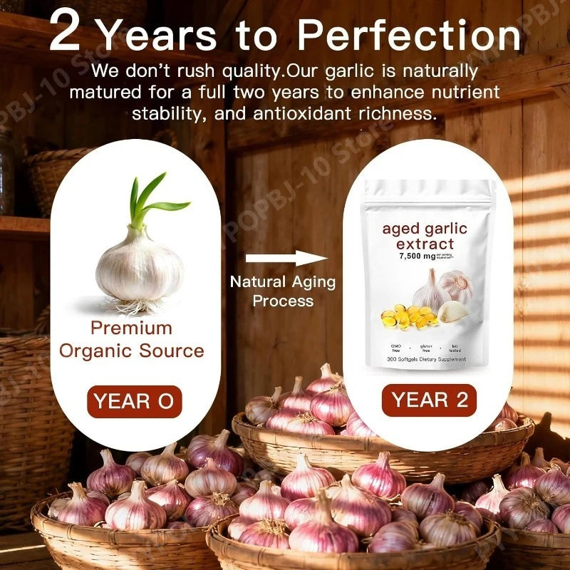 Aged Garlic Extract 300 Capsules – Odorless, Organic, Non-GMO