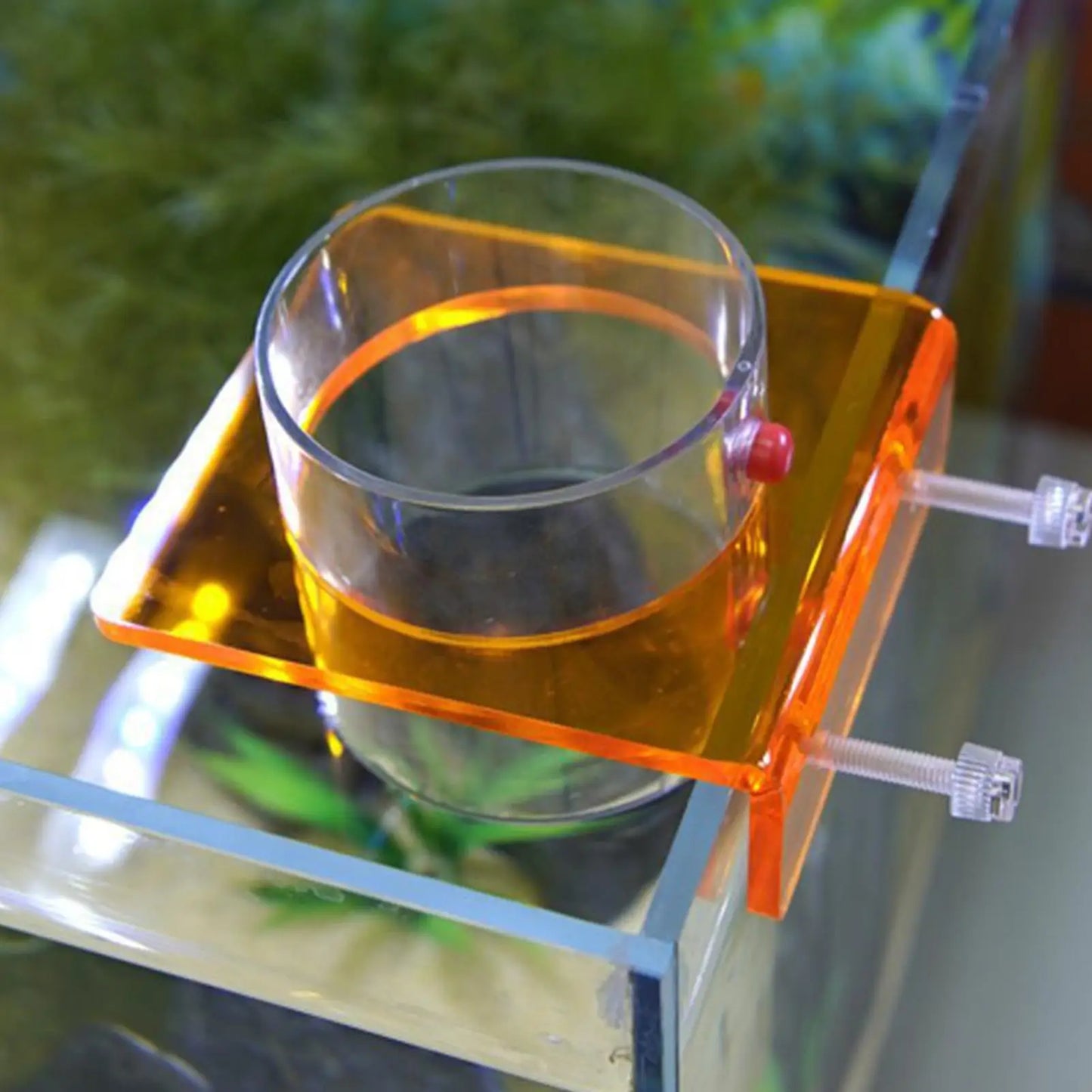 Acrylic Fish Feeding Ring with Suction Cup | Aquarium Feeder