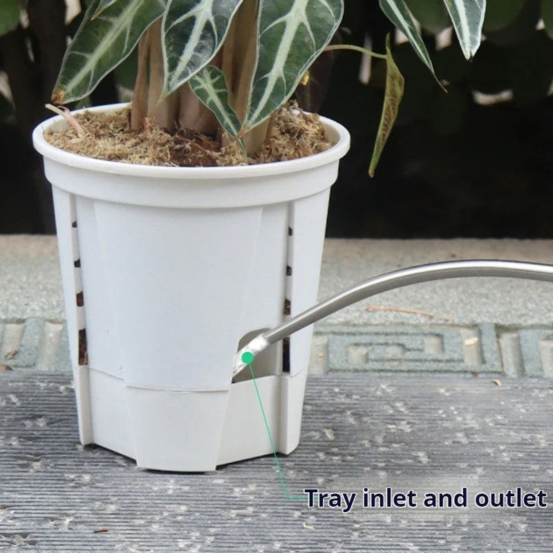 Self-Watering Transparent Orchid Pot | Double Layer Hydroponic