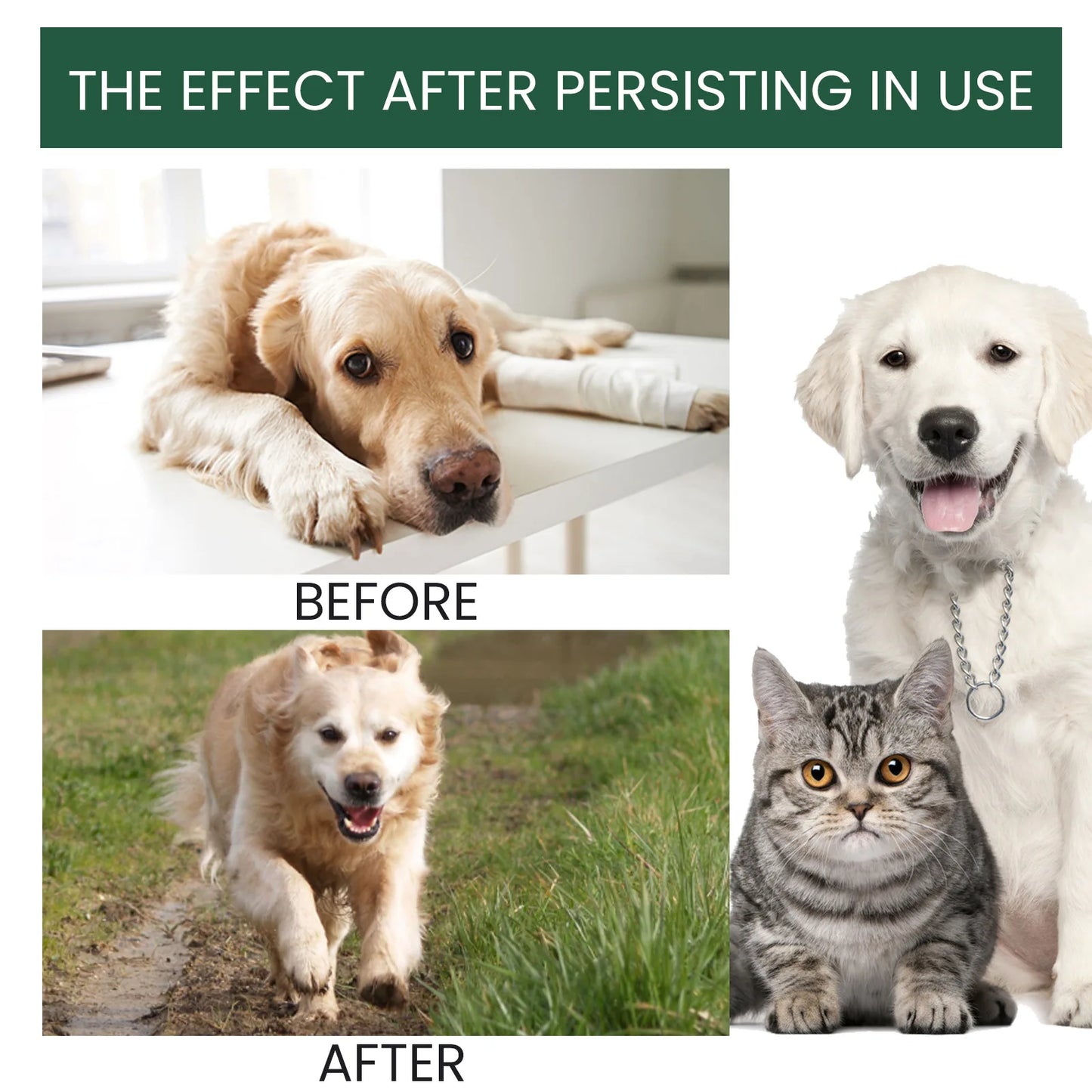 Yegbong Dog Joint Care Drops | Hip & Bone Supplement