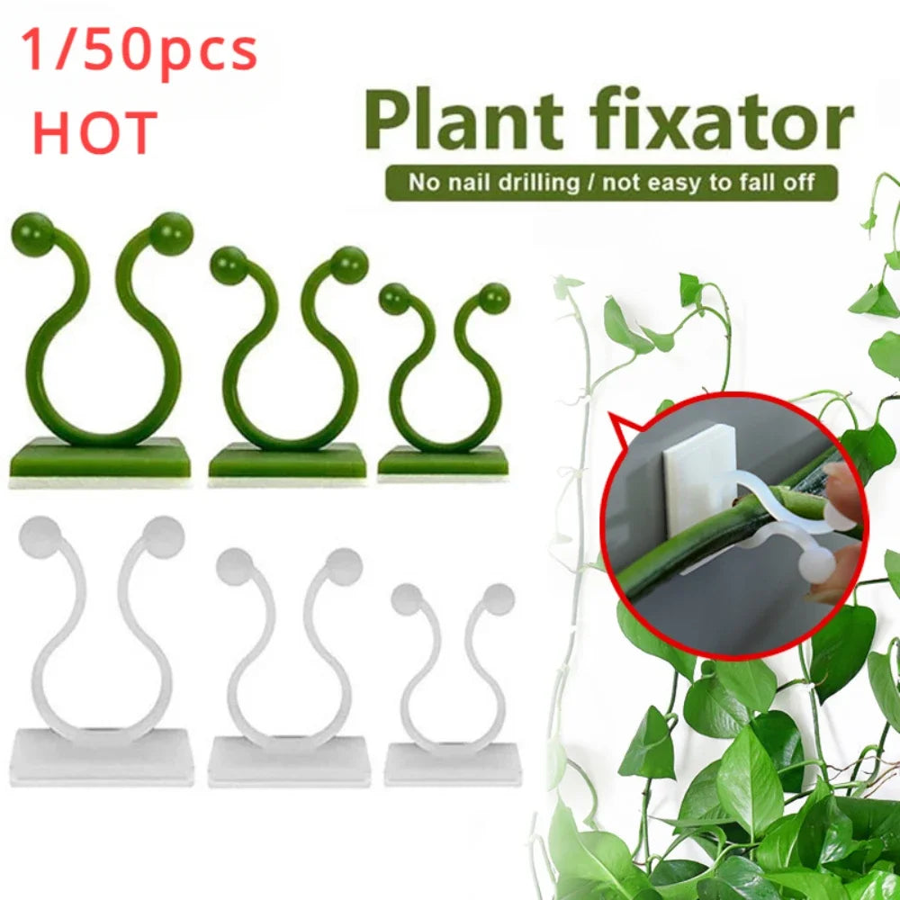 1/30/50Pcs For Garden Accsesories Plant Garden Pots & Planters Climbing Wall Outdoor Decors Lamp Support for Plants Clip Vine Peaceful Pleasures Health and Wellness