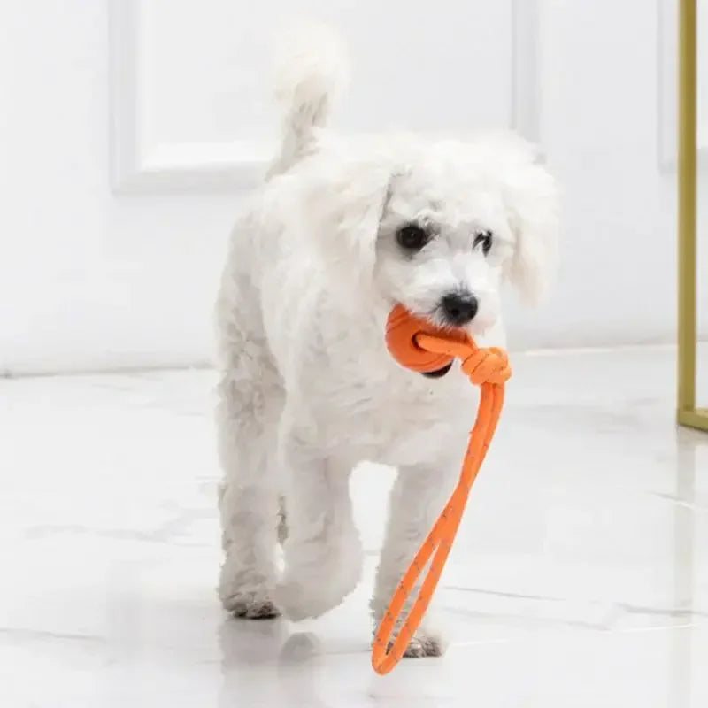 Cotton Rope Ball Dog Toy – Interactive Tug, Fetch & Chew