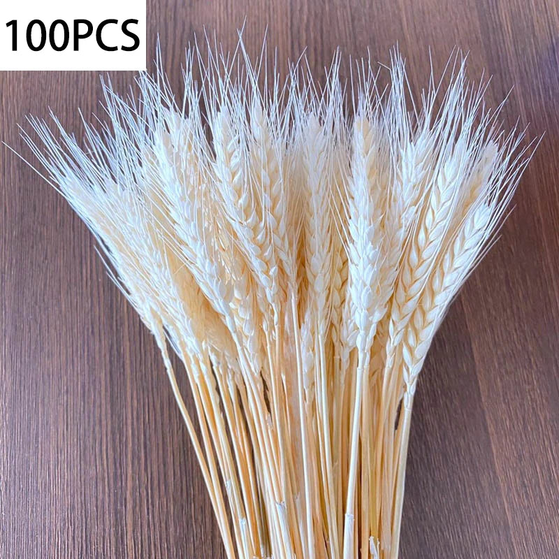 100pcs Dried Wheat Ears Bouquet – Wedding & Home Decor