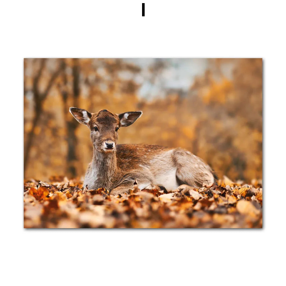 Fall Deer Autumn Canvas Wall Art Print | Living Room Decor