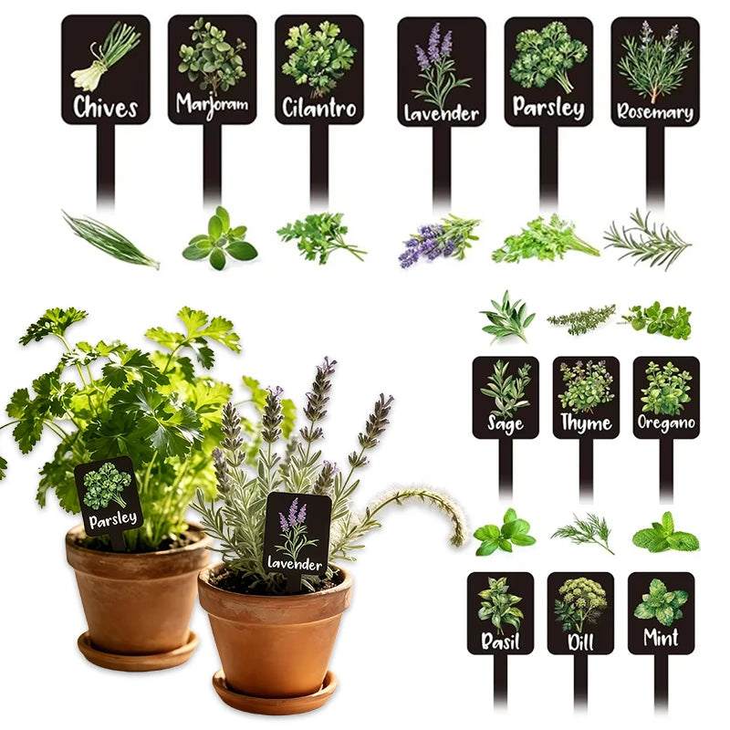 12-Pack Acrylic Herb Garden Plant Labels & Markers | Printed Names Herb Garden Markers Peaceful Pleasures Health and Wellness
