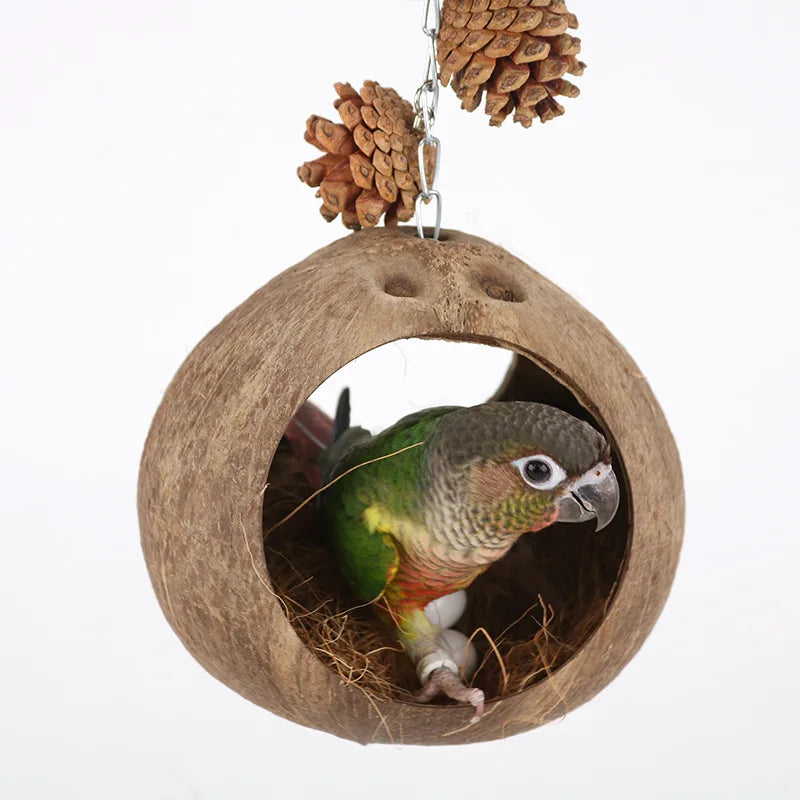 Coconut Bird Nest Hut with Ladder – Hanging Parrot Hideout