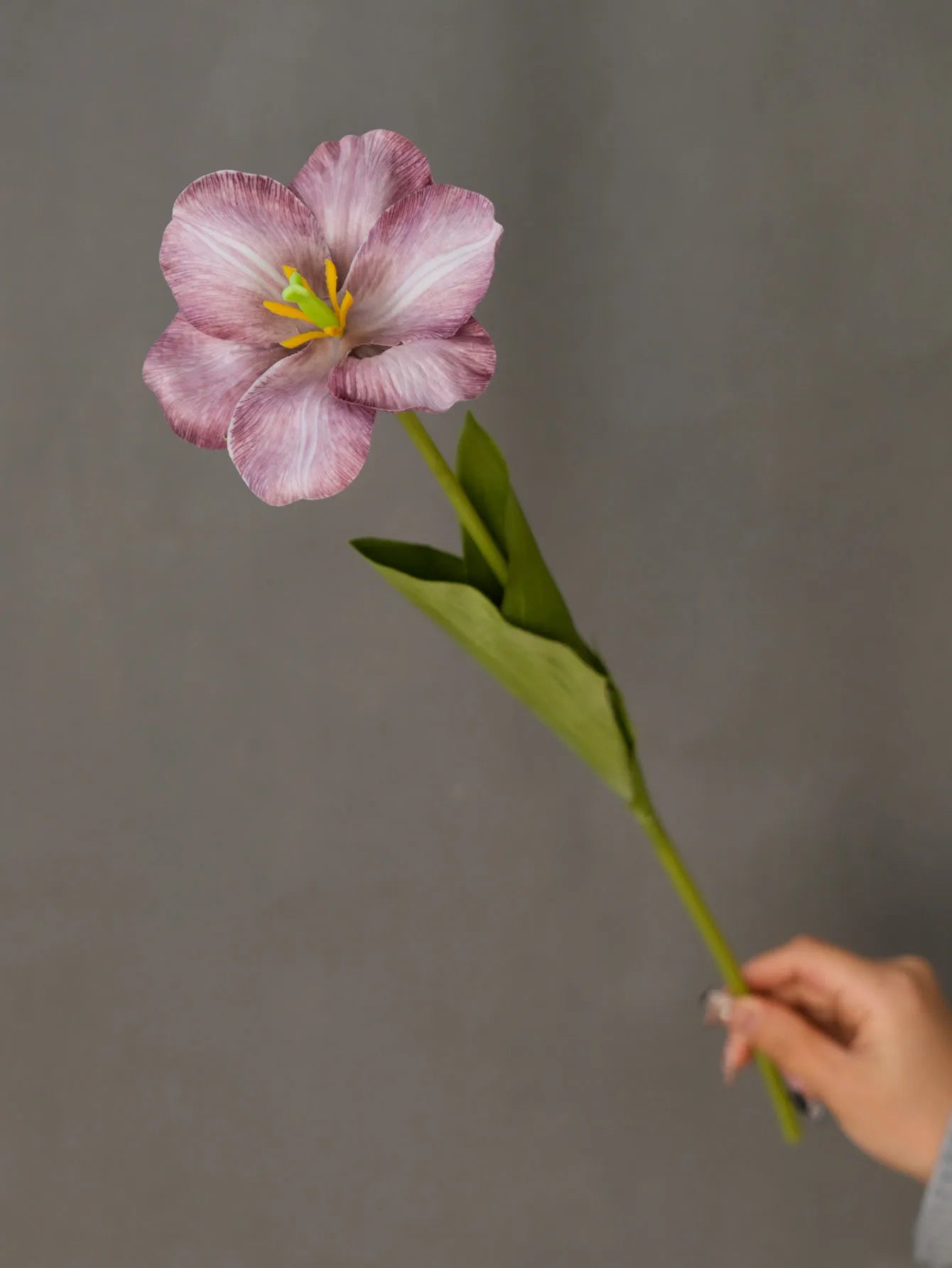 Silk Tulip Long Branch Artificial Flower | Home Decor