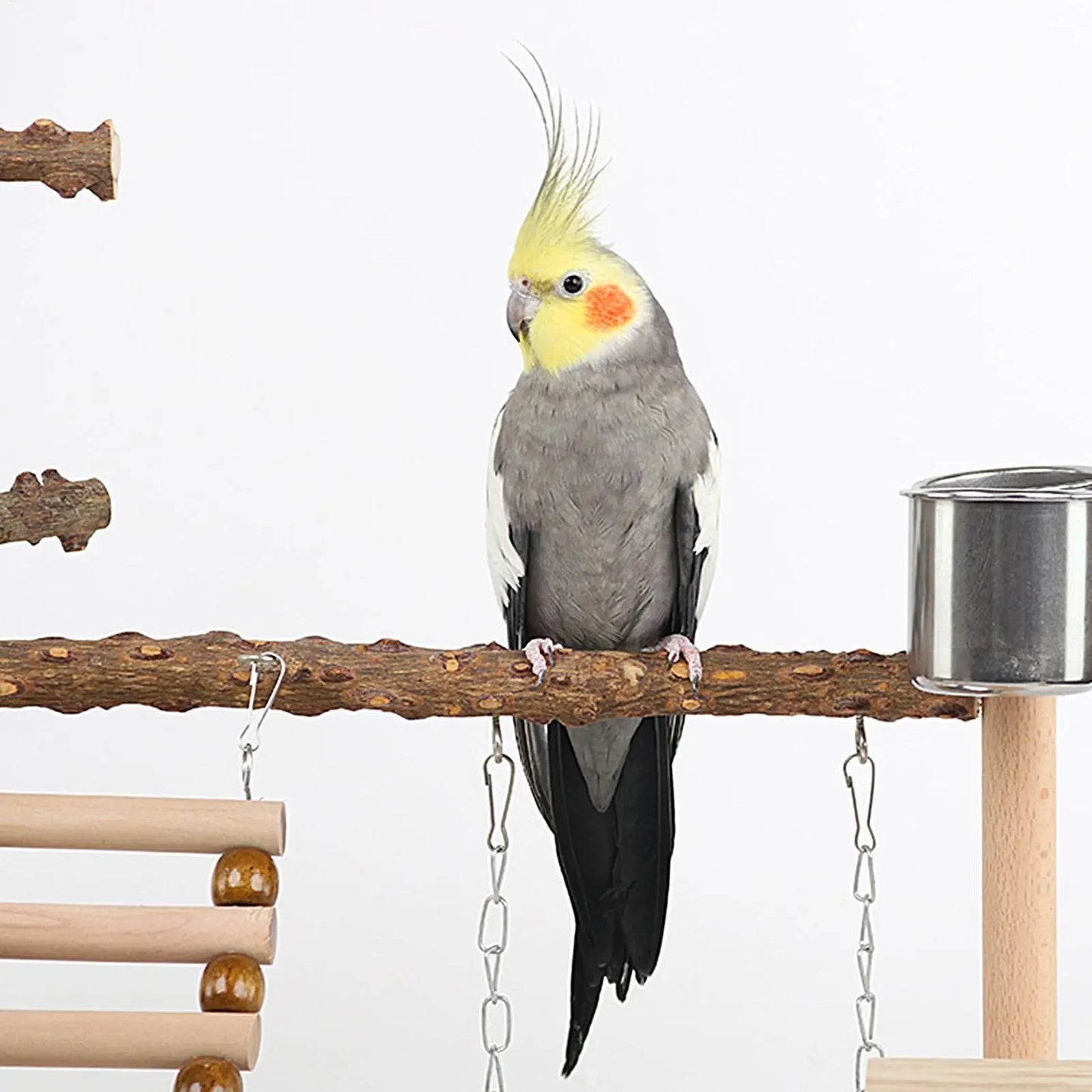 Wooden Bird Playstand Perch | Cockatiel Conure Lovebird Gym Bird Playstand Peaceful Pleasures Health and Wellness
