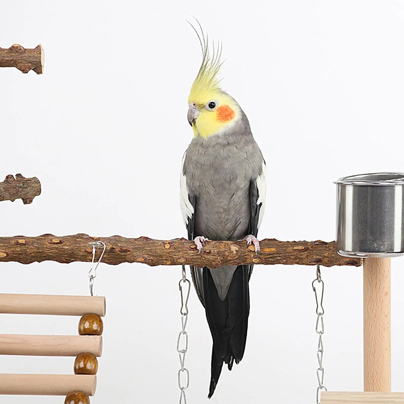 Wooden Bird Playstand Perch | Cockatiel Conure Lovebird Gym Bird Playstand Peaceful Pleasures Health and Wellness