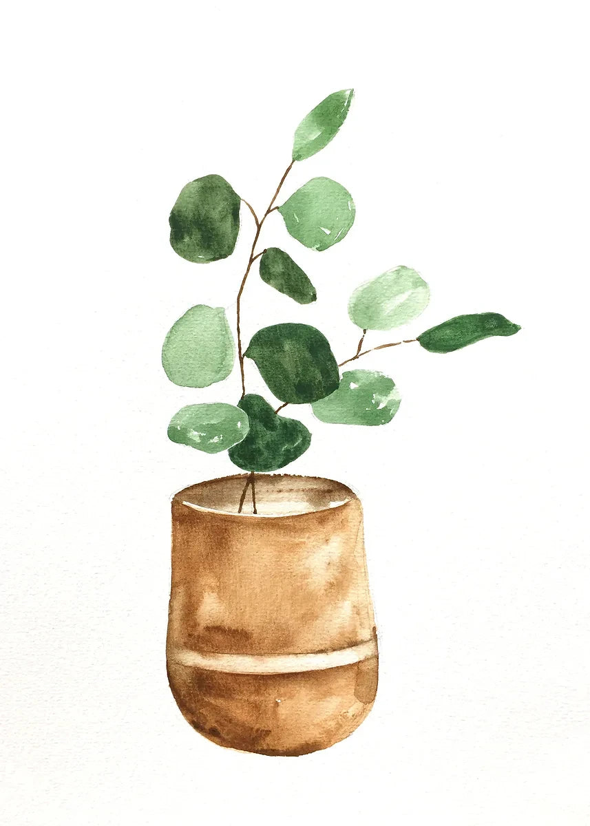 Plant Potted Watercolor Poster Family Garden Houseplant Botanical Canvas Printing Wall Art Picture for Living Room Home Decor Peaceful Pleasures Health and Wellness DM92-13 30x40cm Unframed