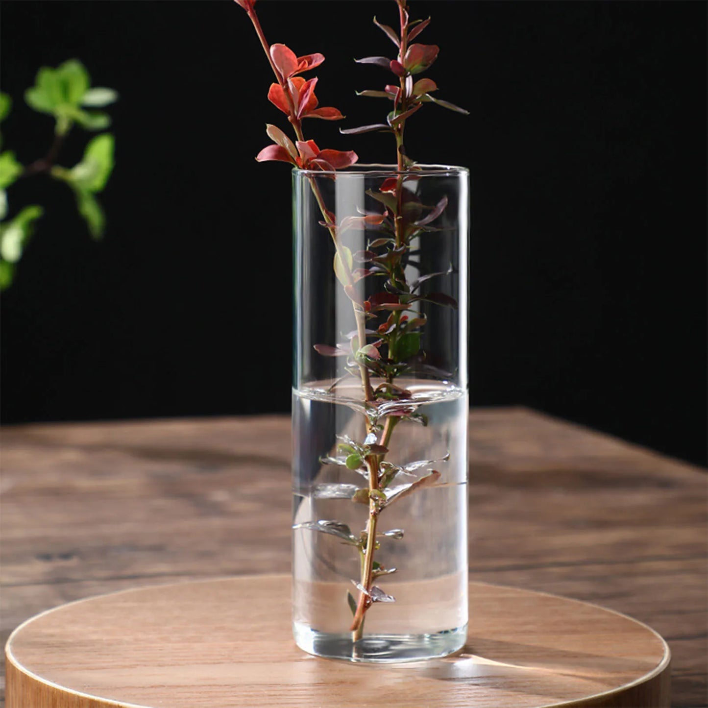 Hydroponic Flower Vase Modern Small Cylinder Flower Centerpiece Vases for Home Office Wedding Table Peaceful Pleasures Health and Wellness