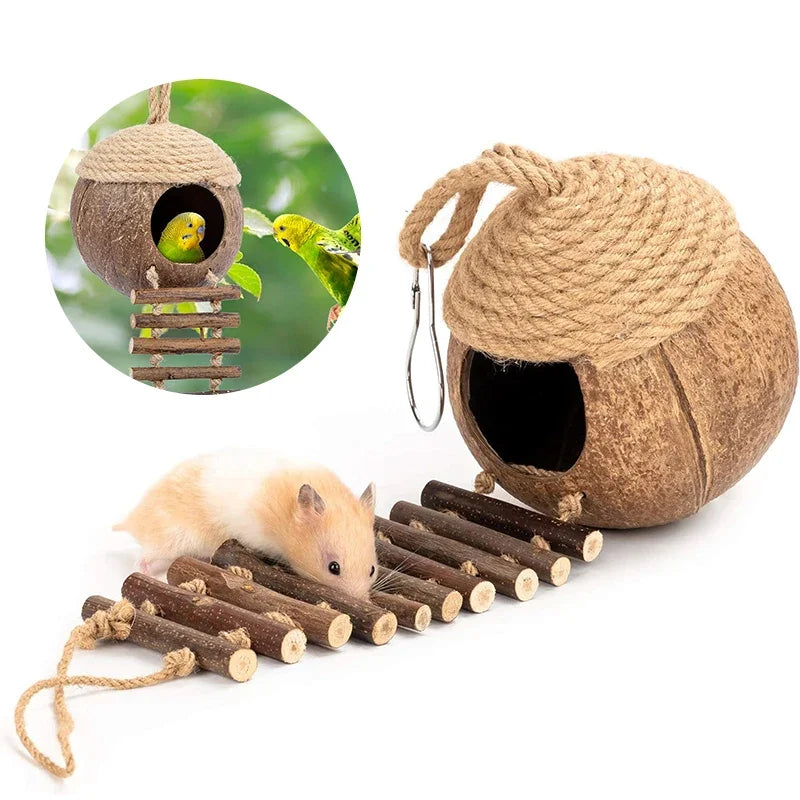 Coconut Shell Birdhouse Hut with Ladder | Natural Bird & Pet Habitat Bird Cage Habitat Peaceful Pleasures Health and Wellness