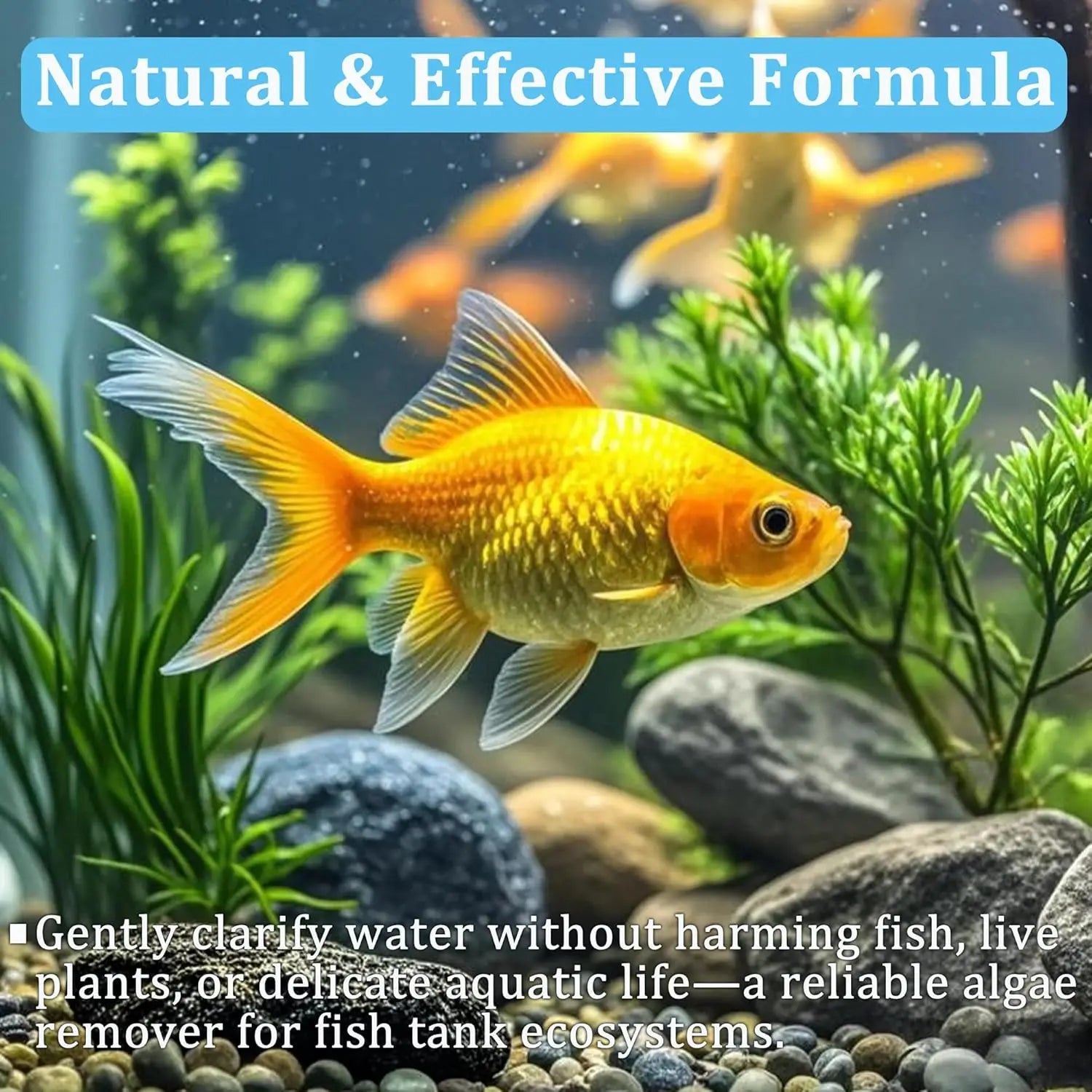 Aquarium Water Purification Tablets Fish Tank Clarifier Rapid Clear Turbidity Clean Ecosystem Care Pet Fish Health Accessories Peaceful Pleasures Health and Wellness