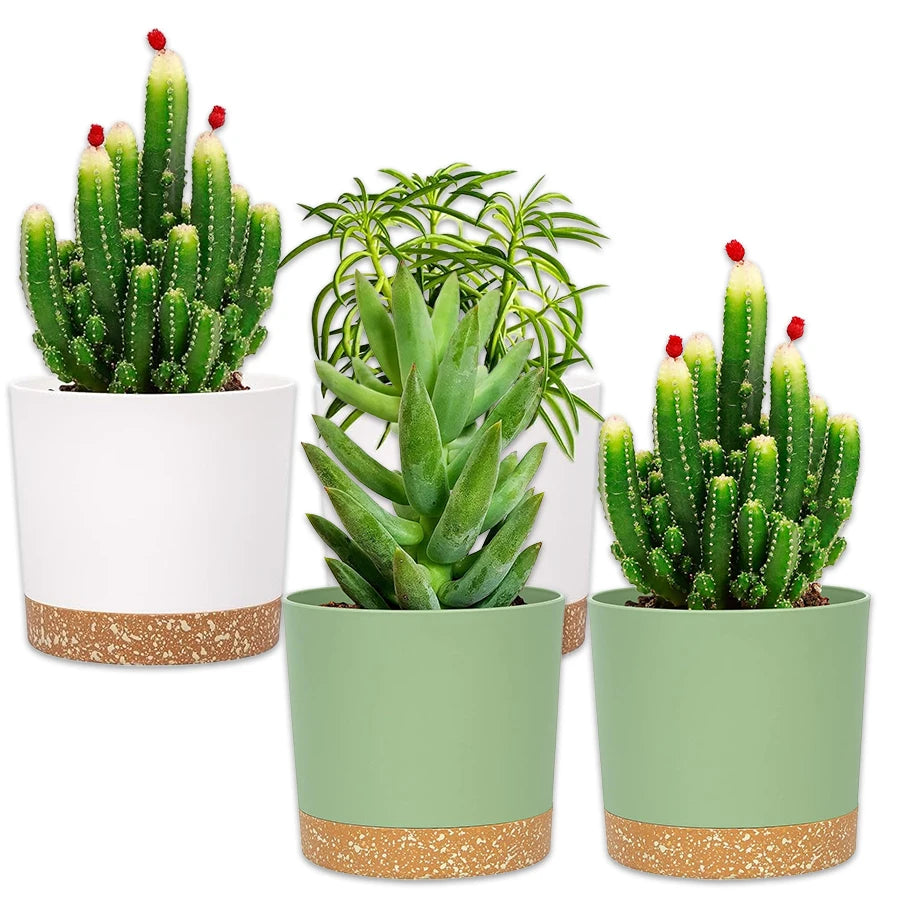 2-Pack Plant Pots with Drainage Holes & Saucer | Indoor & Outdoor