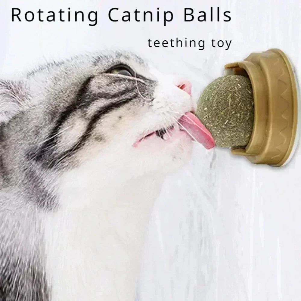 Rotating Catnip Ball Cat Toy – Interactive Lick & Scratch