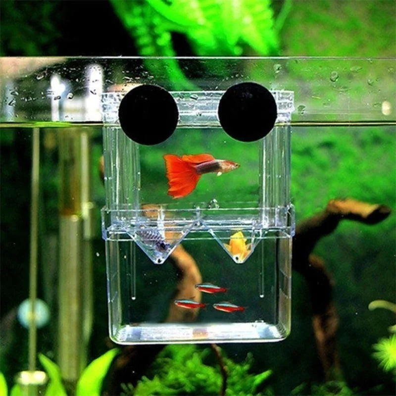 Multifunctional Fish Aquarium Clear Breeding Isolation Box Breeder