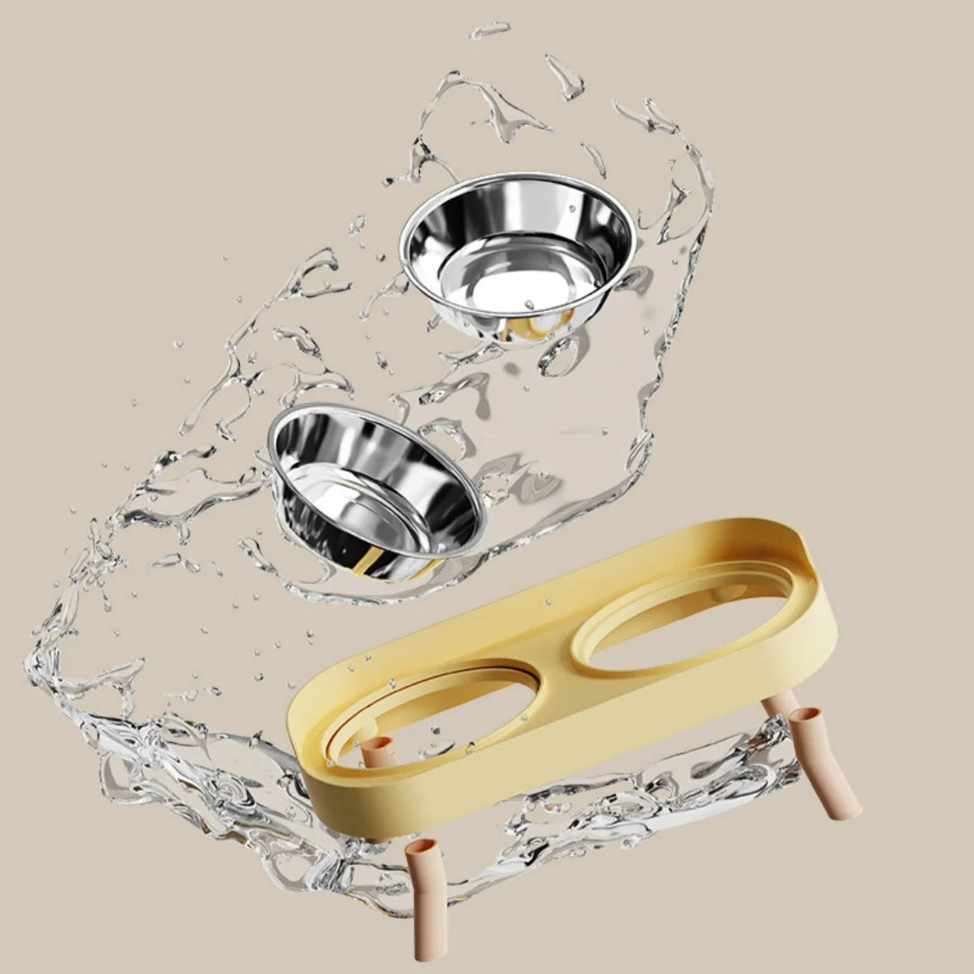 Raised Cat Bowl Set – 2 Stainless Steel Food & Water Bowls