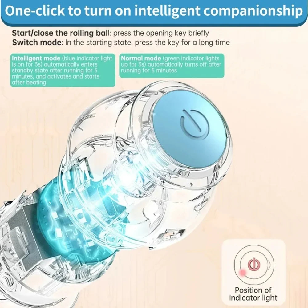 Electric Auto-Rolling Interactive Cat Toy Ball | USB-C