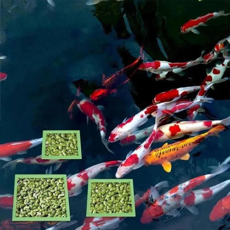 5/10pcs Aquarium Floating Plant Rings Fish Feeding Rings Floating Grass Blocking Rings for Fish Tank Aquarium Pond Accessories Peaceful Pleasures Health and Wellness