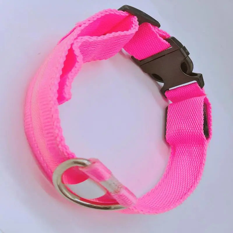 LED Light-Up Dog Collar – Glowing Safety Collar for Night Walks