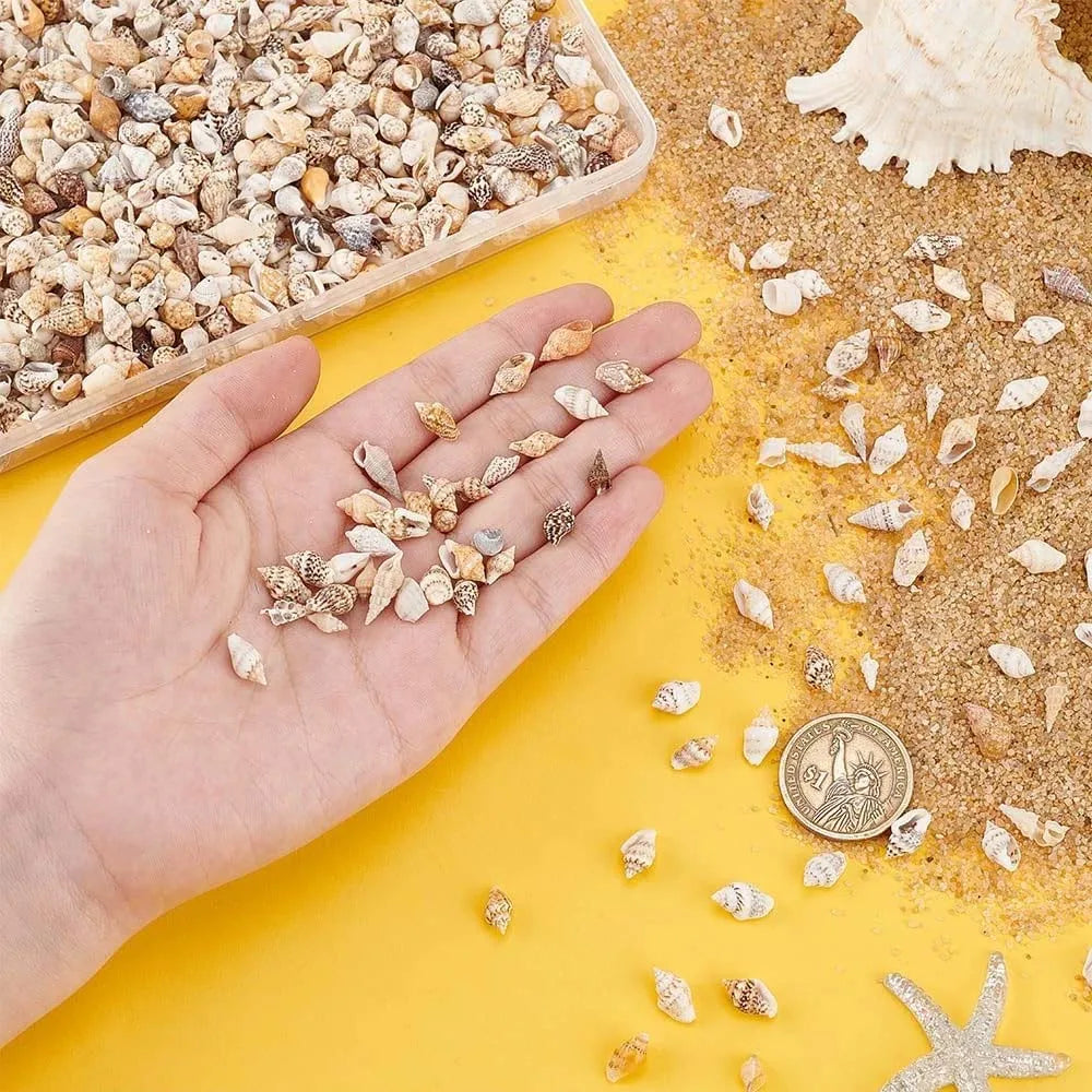 Tiny Sea Shells Box – Candle, Jewelry & Aquarium Crafts