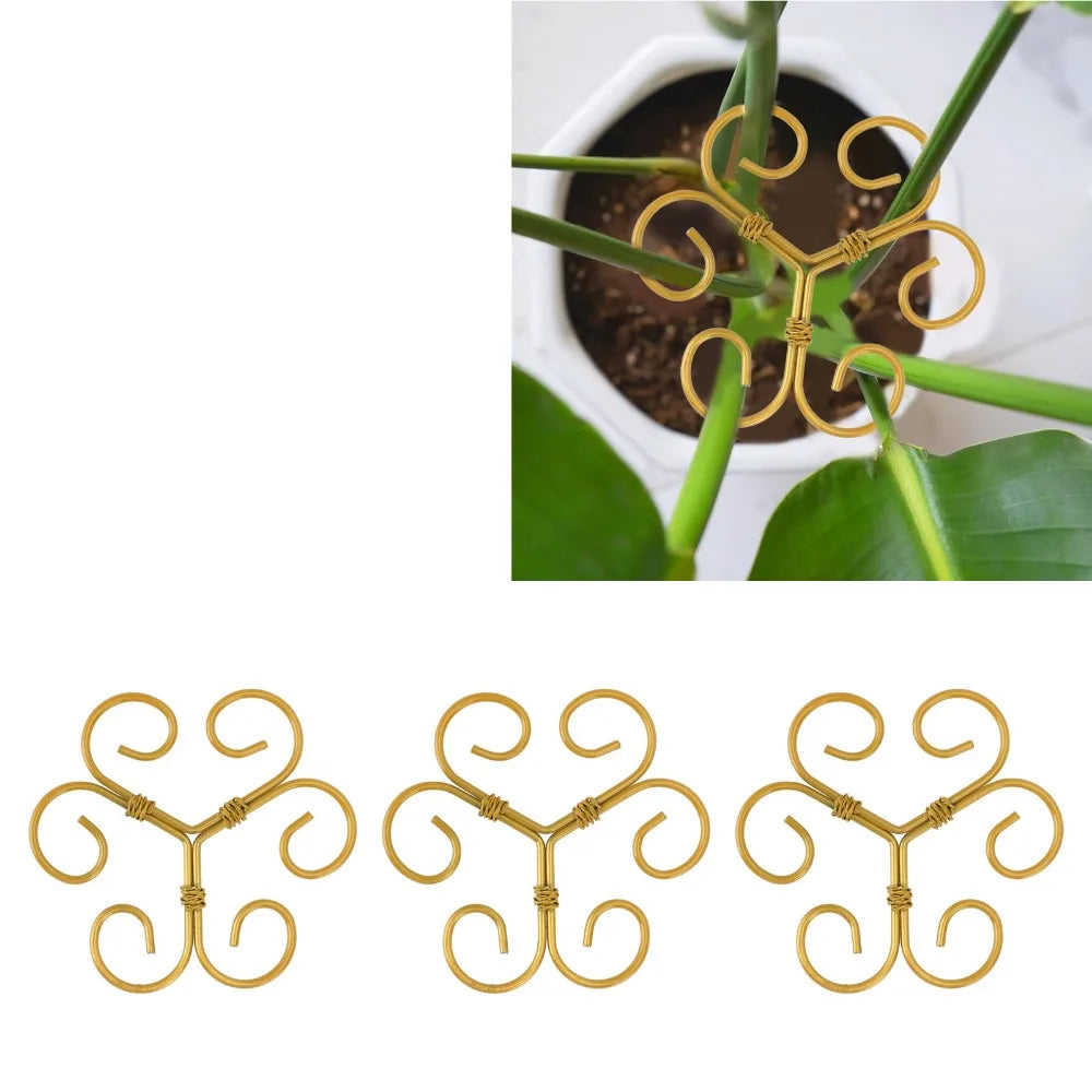 5-Pack Gold Iron Monstera Plant Stem Support Rings | Reusable