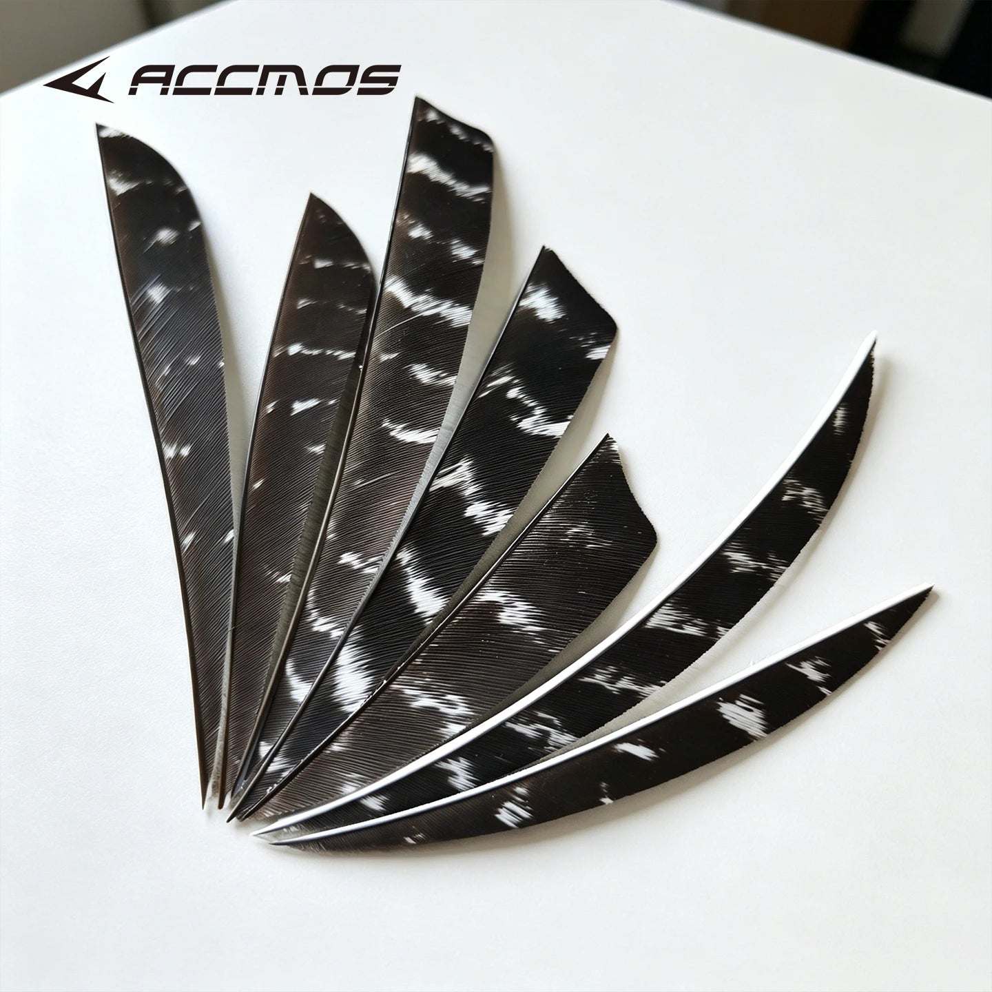 25 RW LW Natural Turkey Archery Arrow Feathers Shield 3 4 Fletching