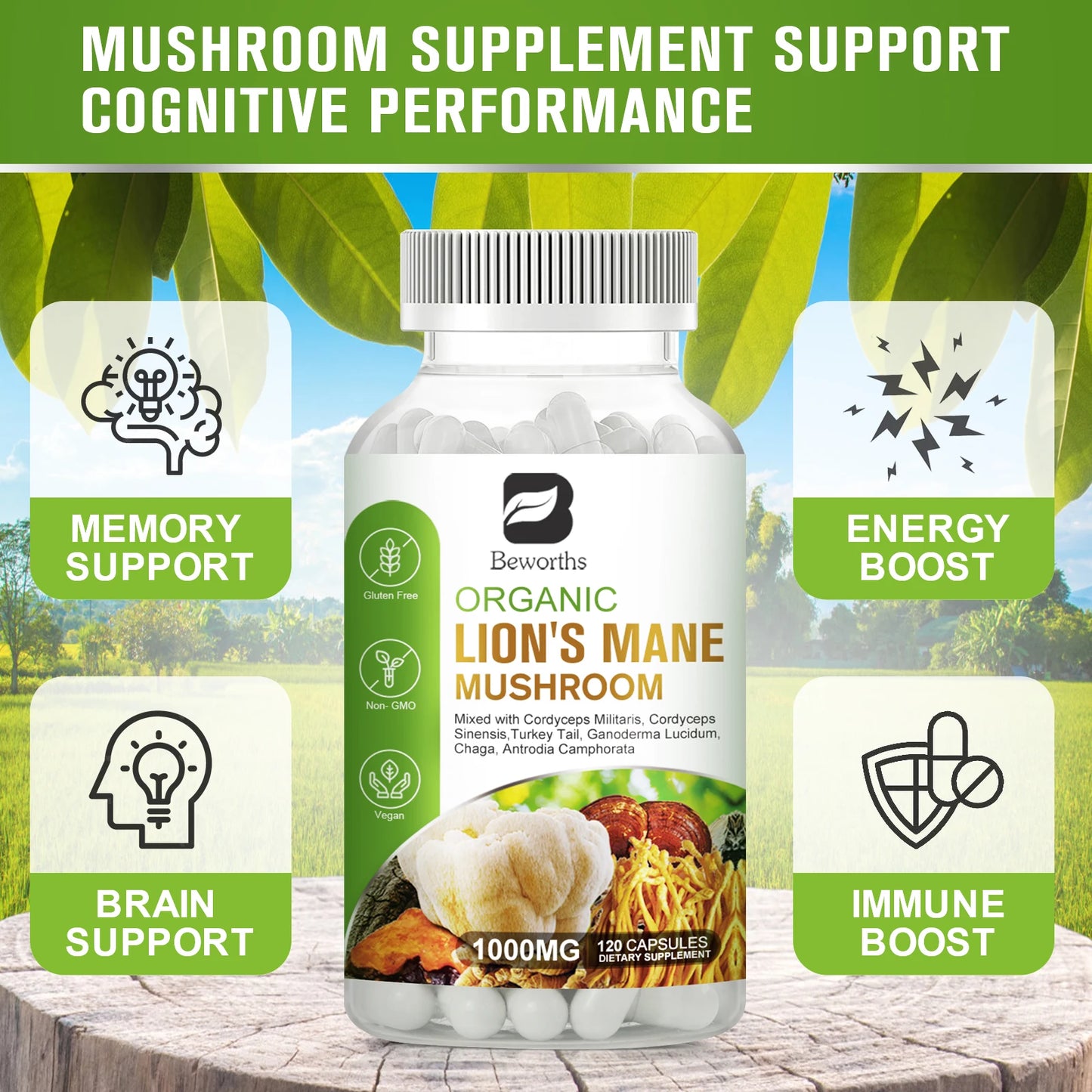 Lion’s Mane & 10-Mushroom Complex – Brain & Immune Support Peaceful Pleasures Health and Wellness