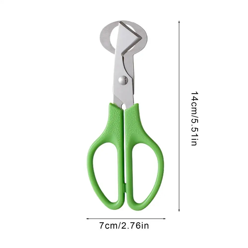 Pigeon Quail Open Crack Small Egg Shell Scissor Cut Bird Eggshell Separator Cigar Cutter Opener Tool Clipper Kitchen Tools Peaceful Pleasures Health and Wellness Green