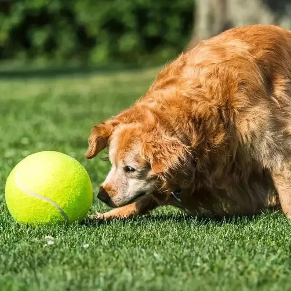 Giant Inflatable Tennis Ball Dog Toy 7" & 9.5" + Air Pump
