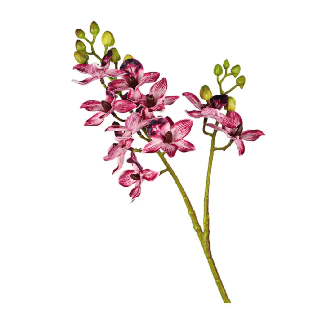 Artificial Phalaenopsis Orchid Branch | 2 Fork Real Touch 60cm