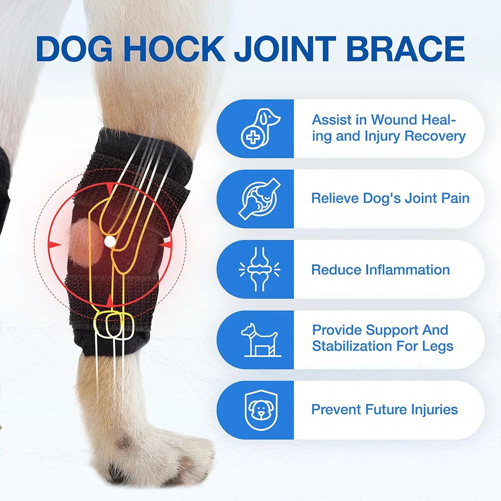 Dog Leg Hock Joint Wrap Pet Knee Pads For Dog Leg Arthritis Injury Recovery Protector Support Bandage Peaceful Pleasures Health and Wellness