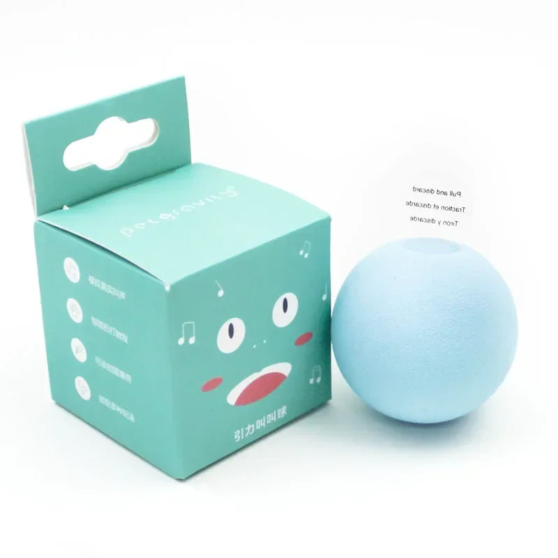 Interactive Squeaky Catnip Ball Toy for Cats & Kittens