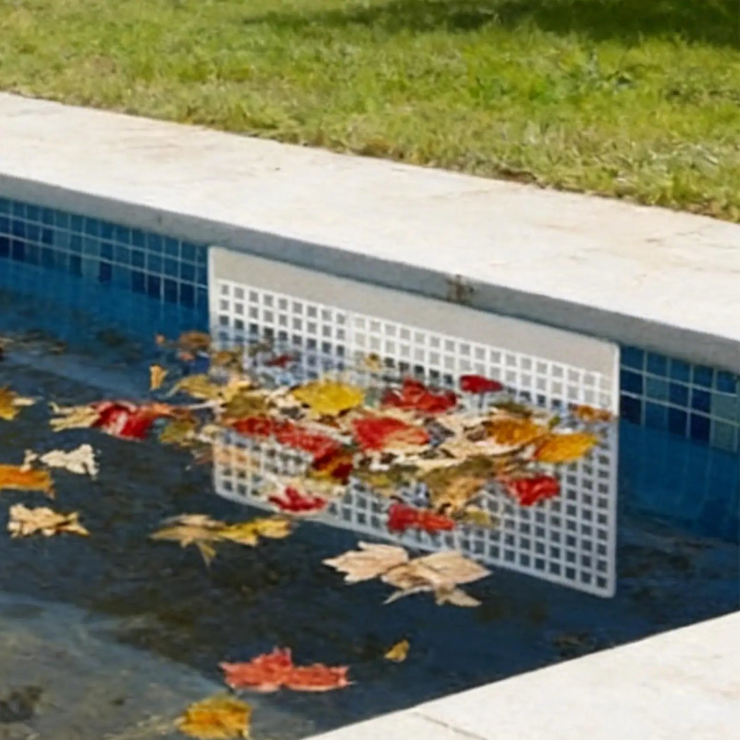 Magnetic Pool Skimmer Screen Rustproof Leaf Catcher Net Cover Replacement for Swimming Pool Pond Leaves Poolside Peaceful Pleasures Health and Wellness