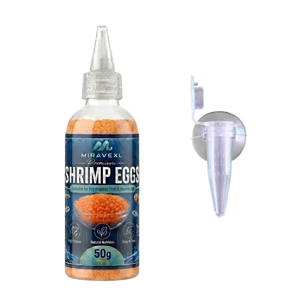 Decapsulated Brine Shrimp Eggs & Fish Fry Feeder Kit | 50g