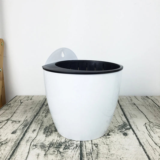 Wallmounted Flower Pot Innovative Design Green Dill Pattern Suitable Peaceful Pleasures Health and Wellness