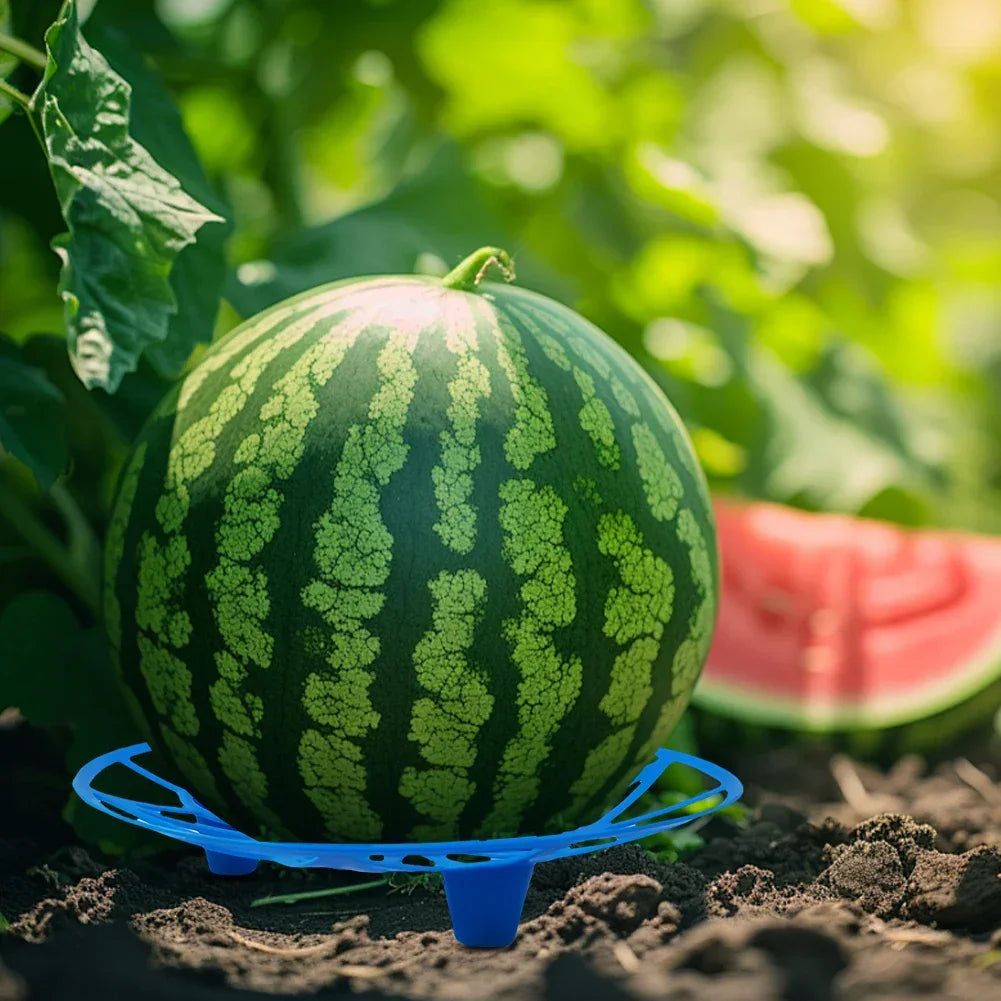Watermelon & Melon Cradle Nursery Tray – 10-Pack (Blue or Green) Peaceful Pleasures Health and Wellness