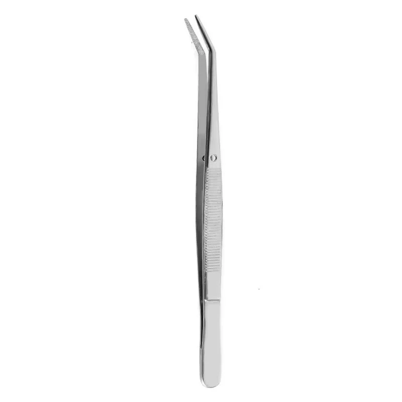 Stainless Steel Dental Explorer – Tartar & Calculus Remover Tool