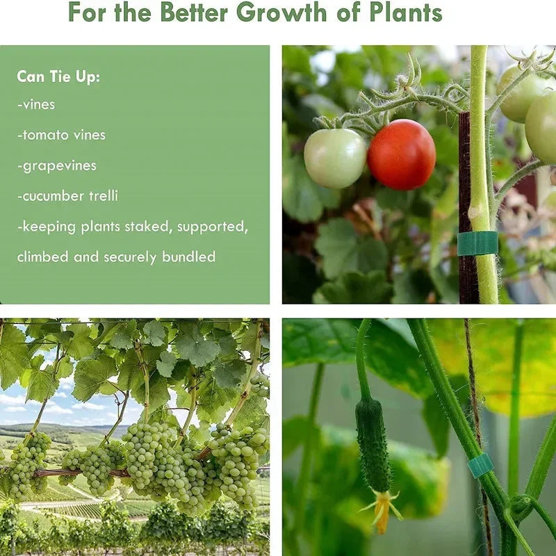 Nylon Plant Ties Garden Twine Straps 2M 5M 10M Rolls Garden Plant Ties Peaceful Pleasures Health and Wellness