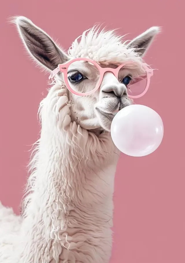 Disco Pink Funny Animal Canvas Wall Art – Kitten Llama Koala
