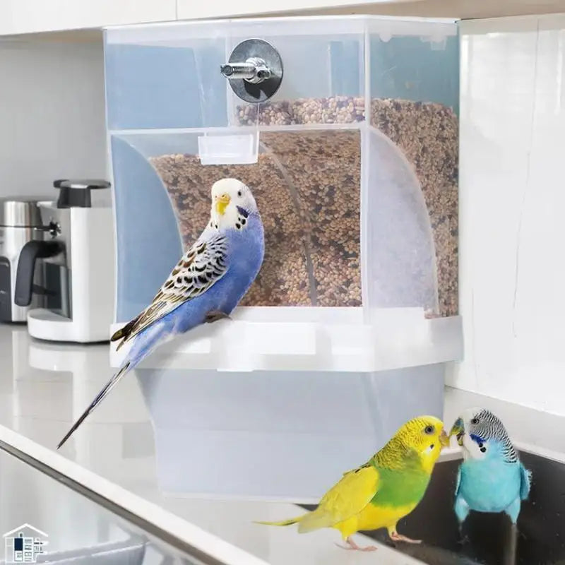 Large Anti-Splash Bird Feeder Box for Parrots & Small Birds