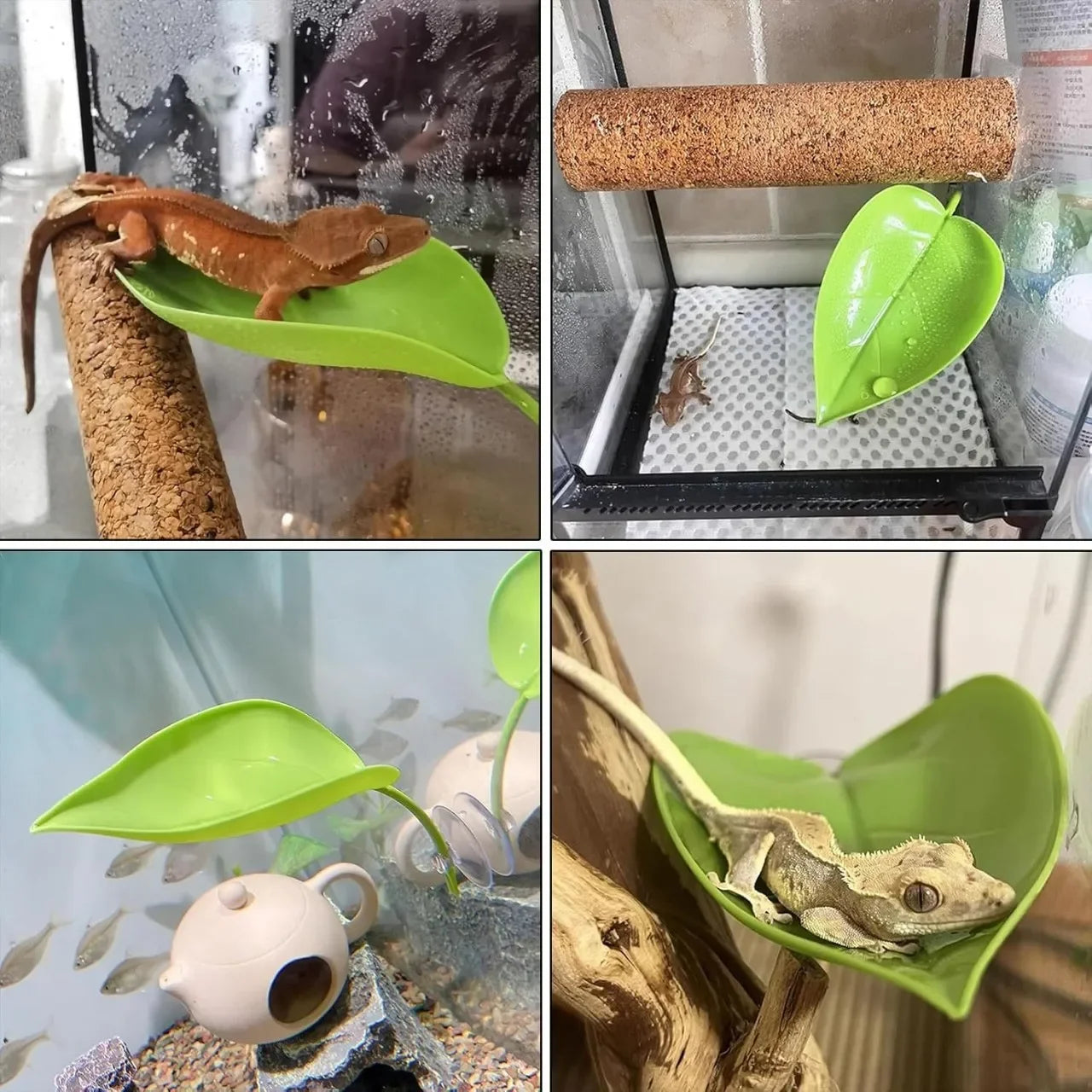 Reptile Basking Leaf Platform | Suction Cup Terrarium Decor