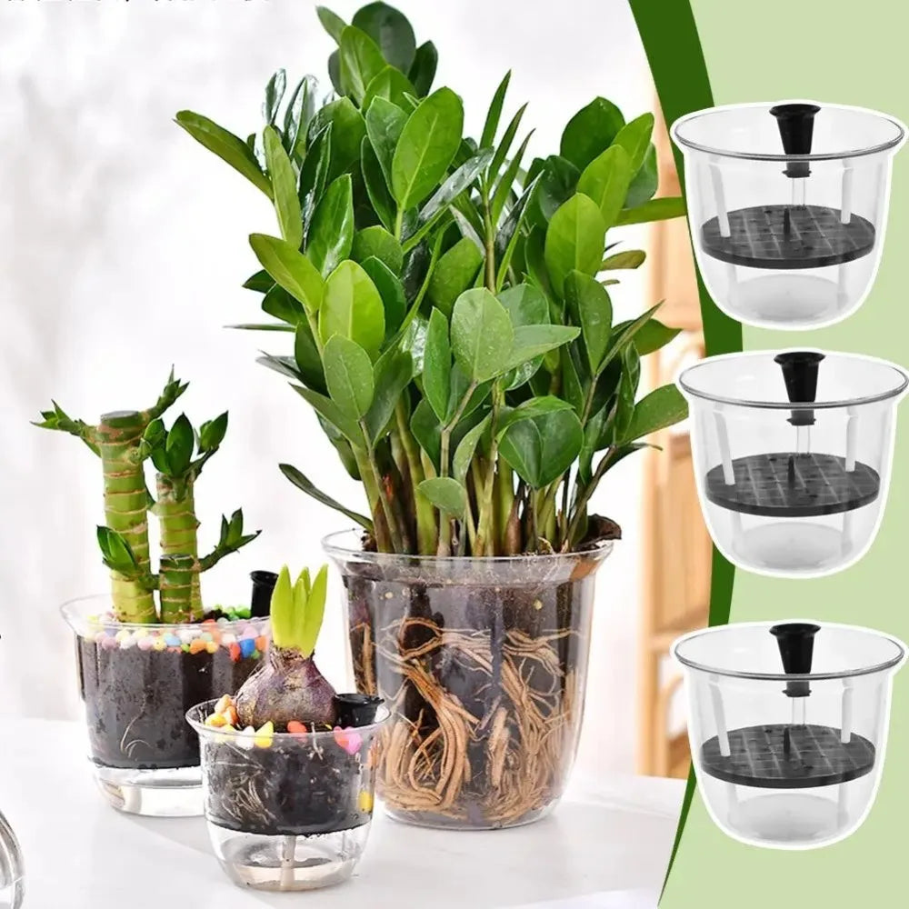 2-Pack Clear Self-Watering Pots with Deep Reservoir | Indoor Plants